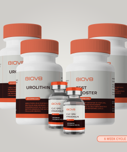 Crossfit Bundle